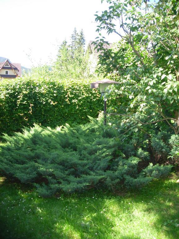Pokoje Goscinne Koscielisko Az Somatic Exterior foto