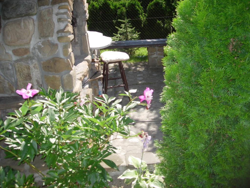 Pokoje Goscinne Koscielisko Az Somatic Exterior foto