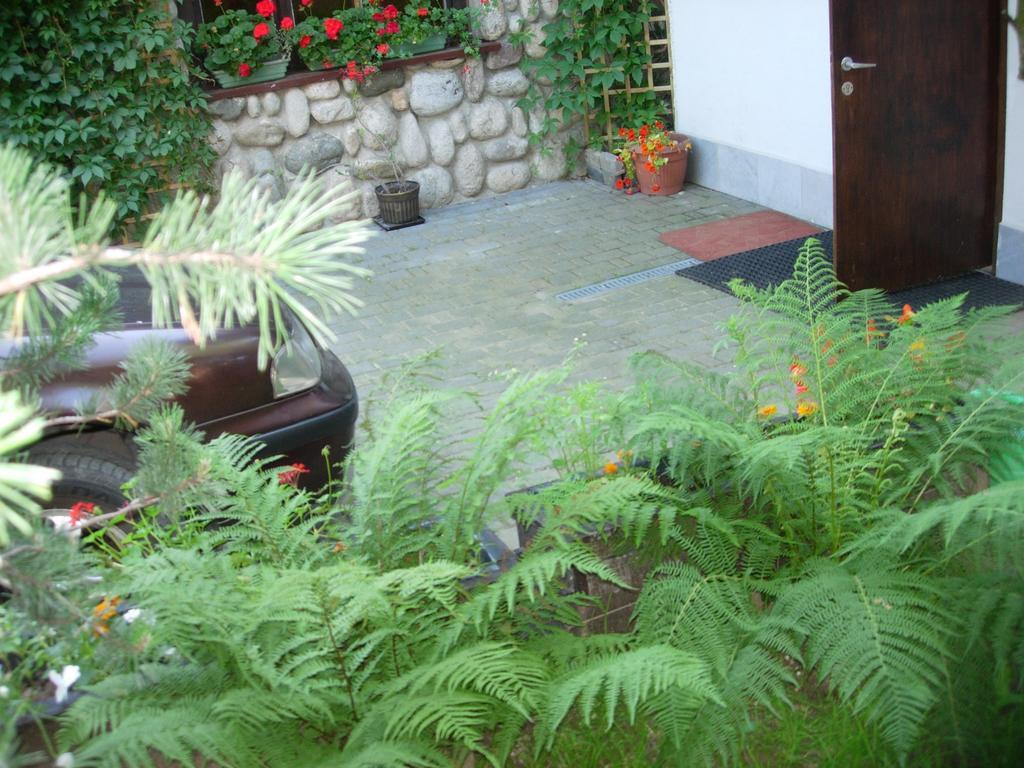Pokoje Goscinne Koscielisko Az Somatic Exterior foto